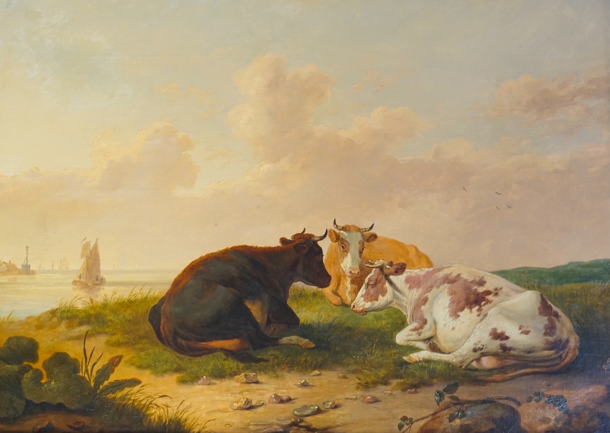 Thomas Sydney Cooper (English, 1803-1902), Cattle resting in a coastal meadow, oil on canvas, 50 x 71cm